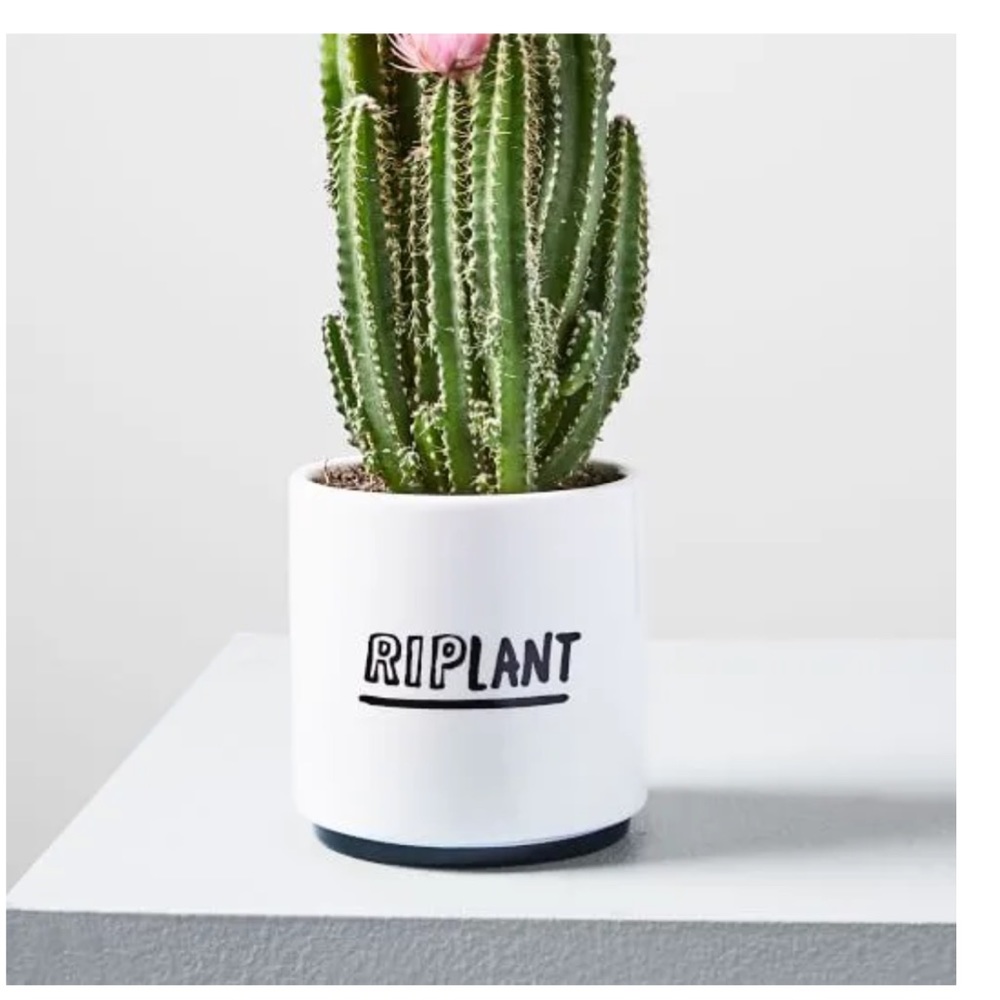 NWOT: West Elm “RIPlant” Timothy Goodman Planter ⭐️ HOST PICK⭐️